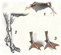 0400g8o4-0d10-205x185.jpg
