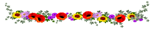 0400g9pw-88e9-515x100.png