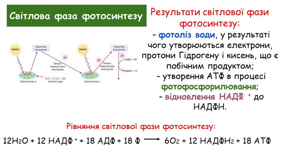 0400gcbg-d0f3-940x529.jpg