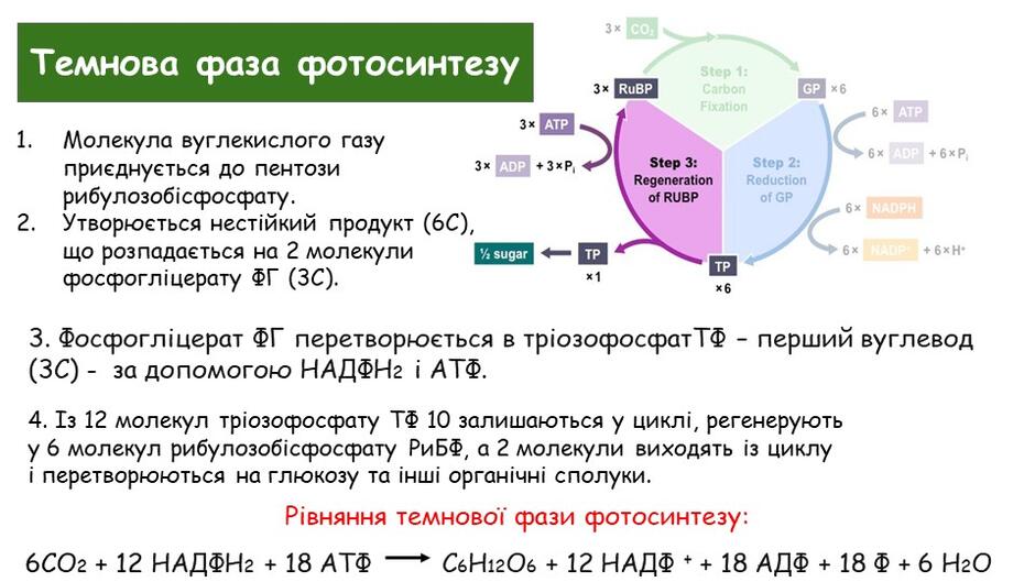 0400gcbk-3025-940x529.jpg