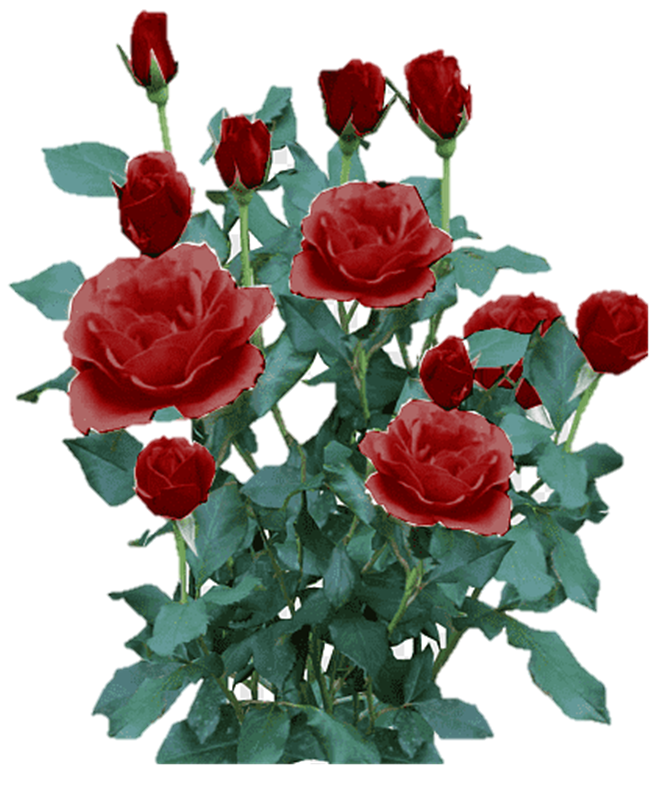 0400ge06-1f6b-663x800.png