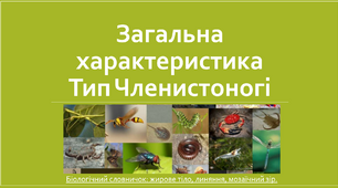 Загальна характеристика. Тип Членистоногі.