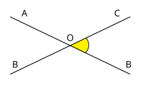 0400ggym-da04-293x182.png