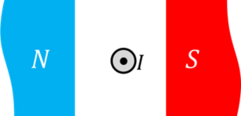 0400ggyn-5fa6-241x116.png