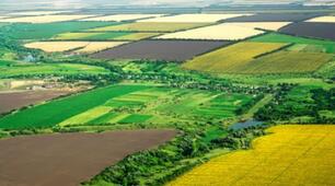 Сучасний стан природних ресурсів і природного середовища України. Екскурсія до парку «Веселі Терни»