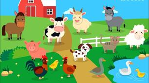 "On the Farm" Reading - Текст про домашніх тварин