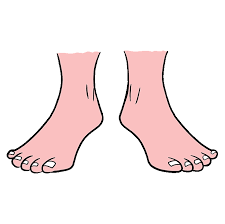 0400gnat-984c-225x224.png