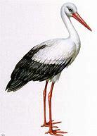 0400gnnb-5590-210x294.jpg