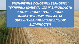 Практична робота № 3 "Визначення основних зернових та технічних культур"
