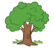 How to Draw a Cartoon Tree | Easy Step by Step Drawing Guides | Cartoon trees, Tree drawing for kids, Tree drawing simple
