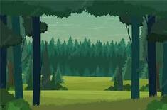 Forest Images | Free Vectors, Stock Photos & PSD