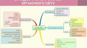 Презентація "Віруси, віроїди, пріони"