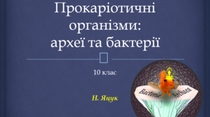 Презентація до уроку "Прокаріотичні організми"