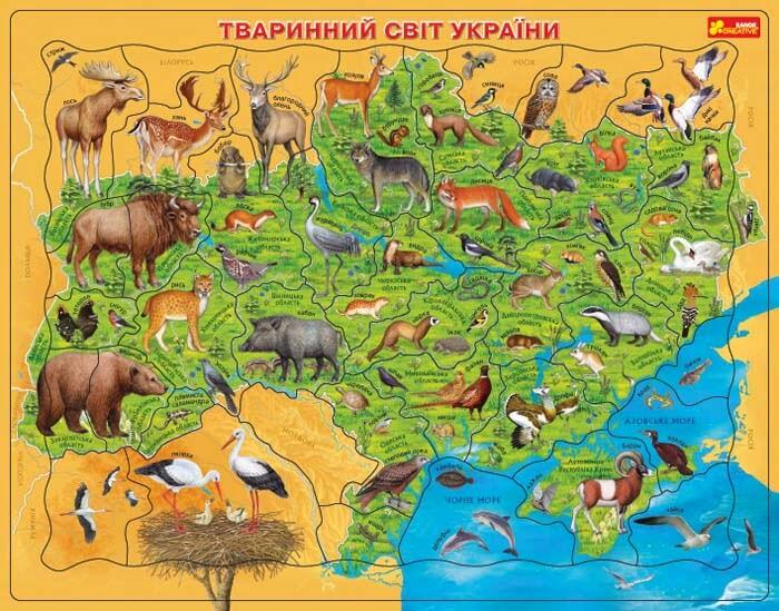 Смотреть исходное изображение