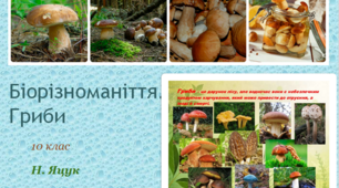 Презентація до уроку "Біорізноманіття. Гриби"