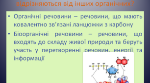 Презентація до уроку "Білки, нуклеїнові кислоти. Огляд будови й біологічної ролі"