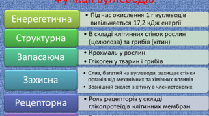 Презентація до уроку "Вуглеводи, ліпіди: огляд будови й біологічної ролі"
