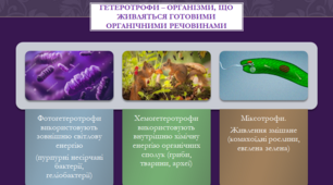 Презентація до уроку "Особливості обміну речовин в гетеротрофних організмів"