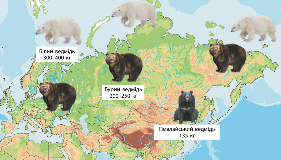 0400gss8-079d-932x533.png