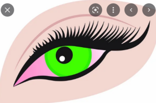 0400gss9-2e36-319x212.png