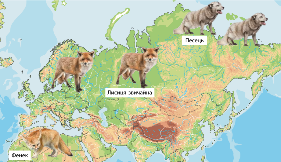 0400gsv0-b643-921x533.png