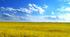 Сільське господарство України