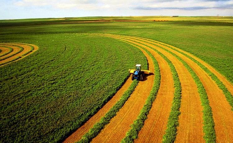 Які земельні ділянки не підлягають оподаткуванню земельним податком?