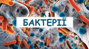 Бактерії - найменші одноклітинні організми. 6 клас