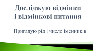 Досліджую відмінки і відмінкові питання. Пригадую рід і число іменників