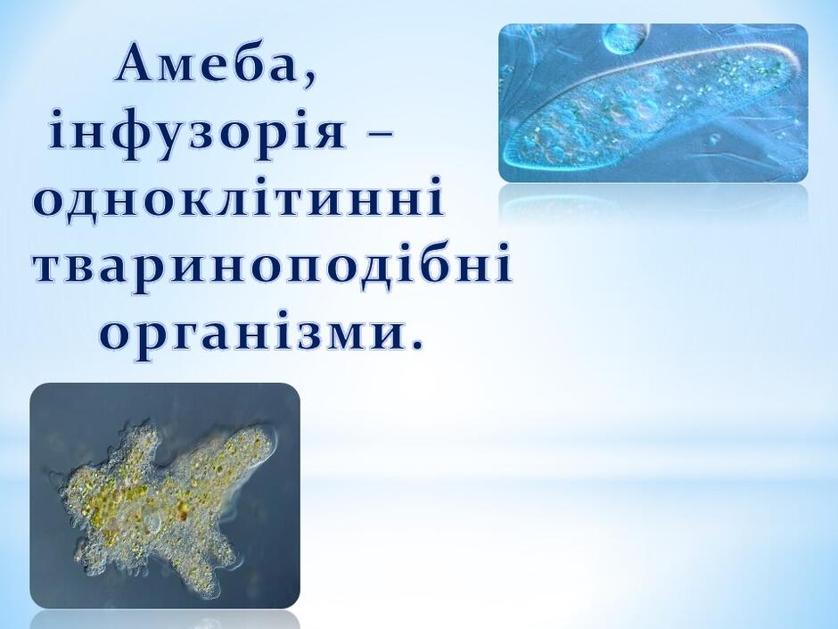 0400h0s2-30d9-940x705.jpg