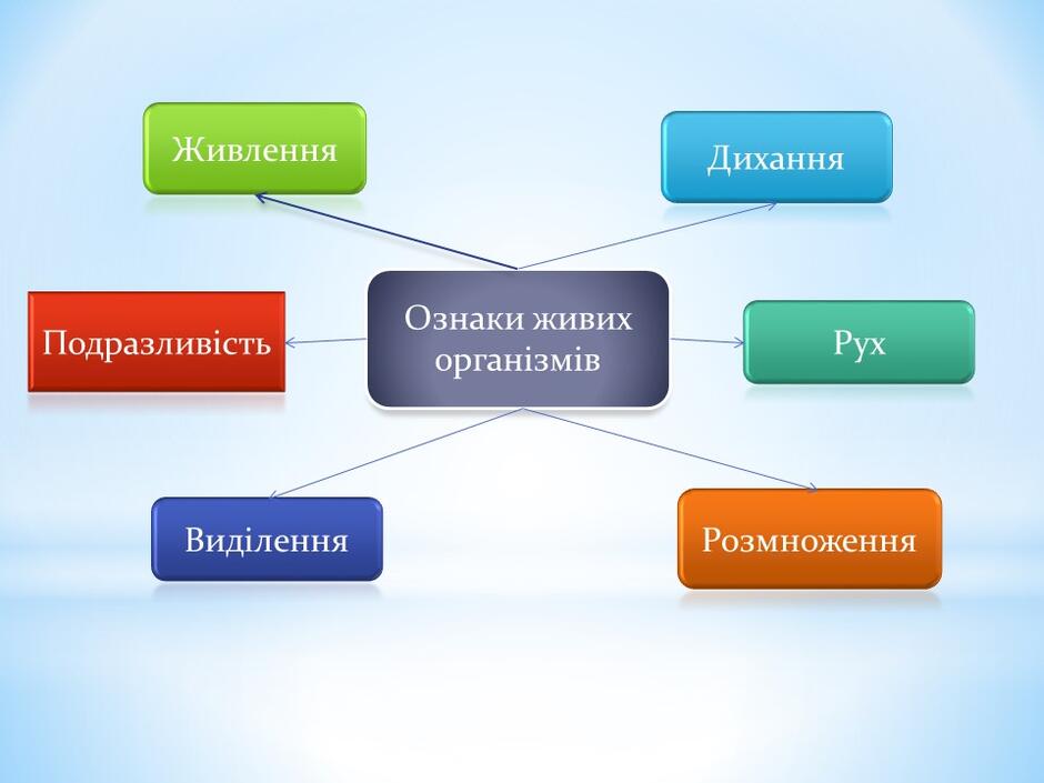 0400h0s6-3b8f-940x705.jpg