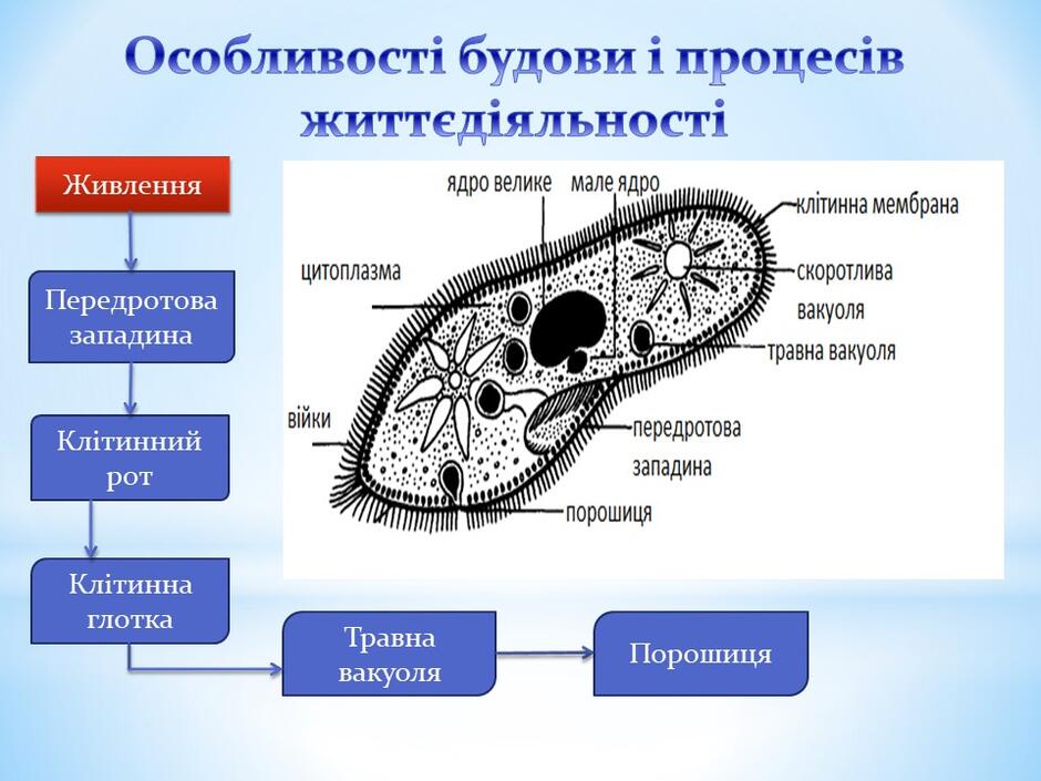 0400h0s9-6fcc-940x705.jpg