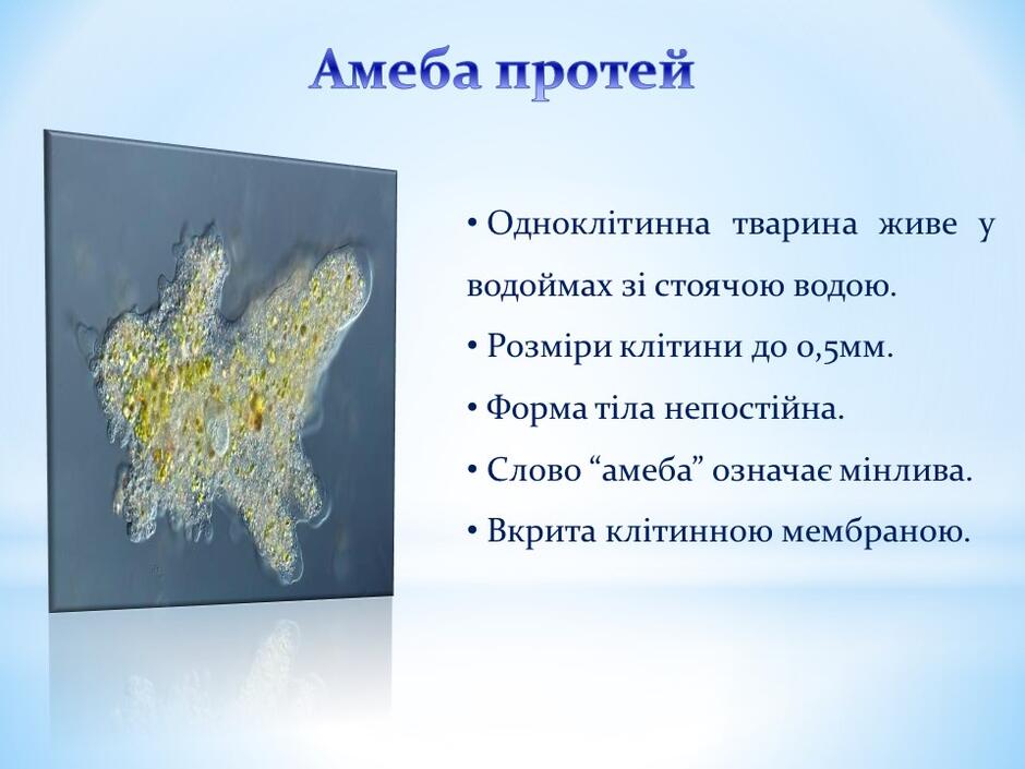 0400h0sa-37e6-940x705.jpg