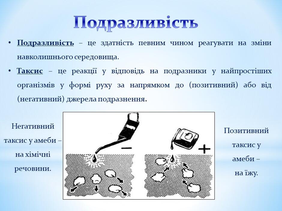0400h0sb-1fe3-940x705.jpg