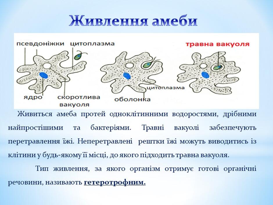 0400h0sc-4ea4-940x705.jpg