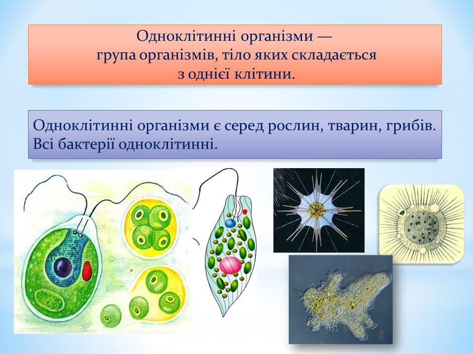 0400h0sd-be1e-940x705.jpg