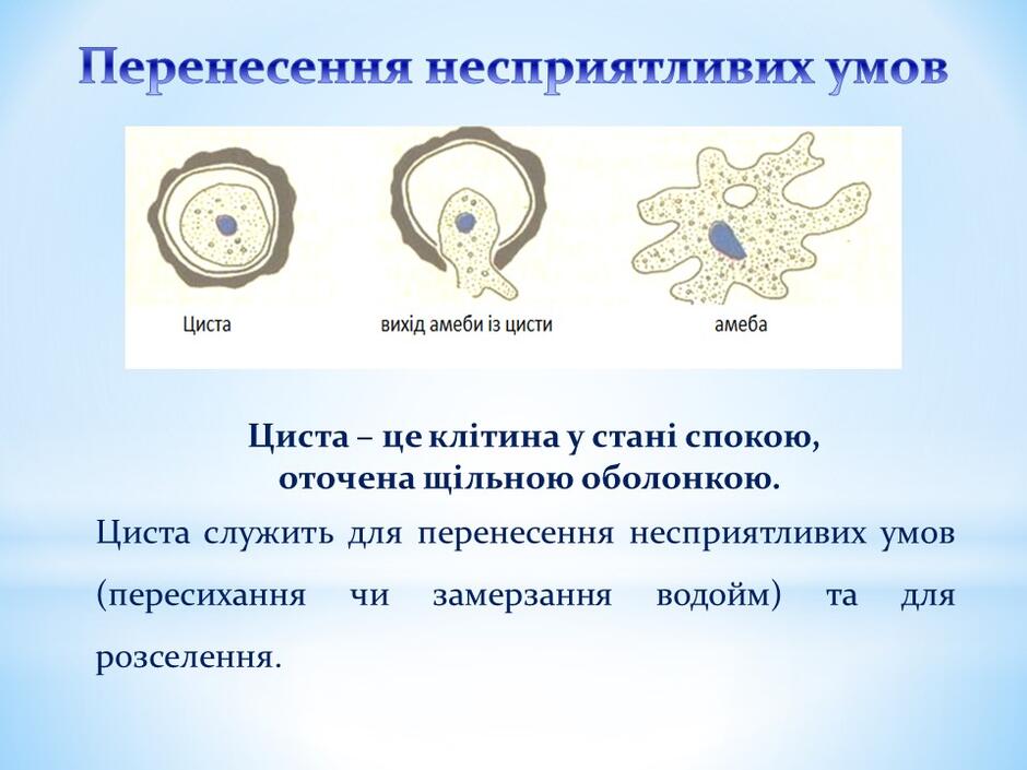 0400h0se-6591-940x705.jpg