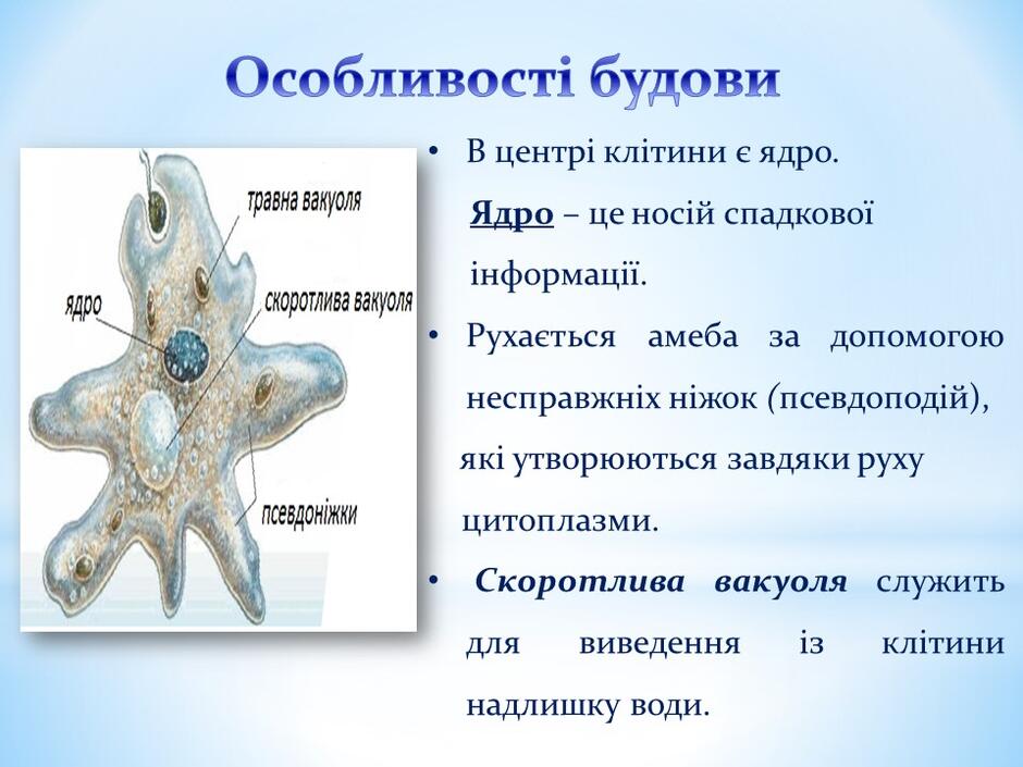 0400h0sg-4d7c-940x705.jpg