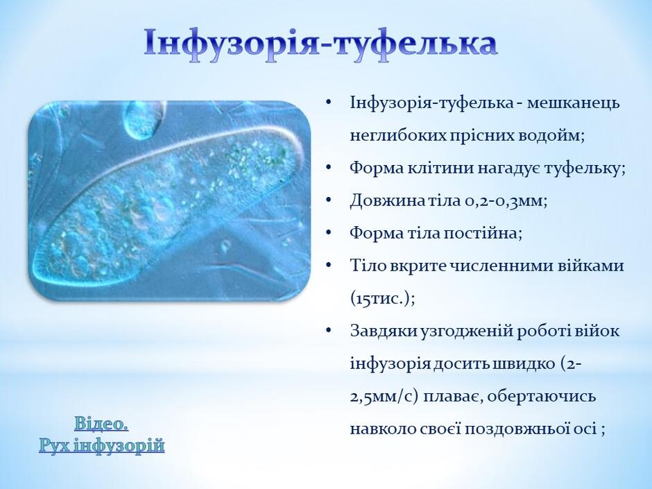 0400h0si-2c52-940x705.jpg