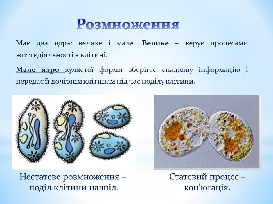 0400h0sj-3d6a-940x705.jpg
