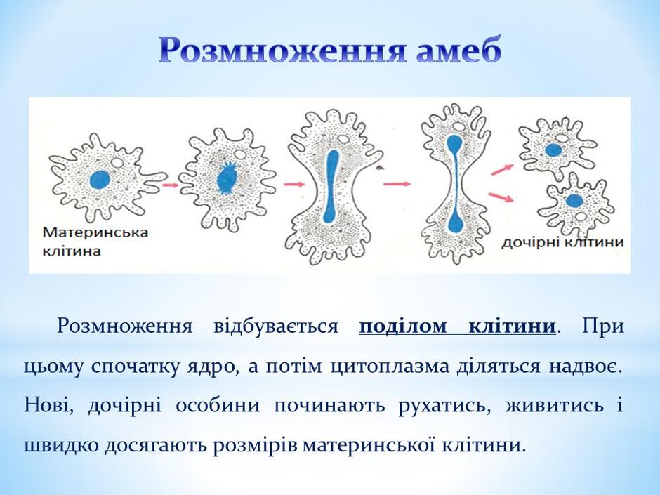 0400h0sk-5331-940x705.jpg