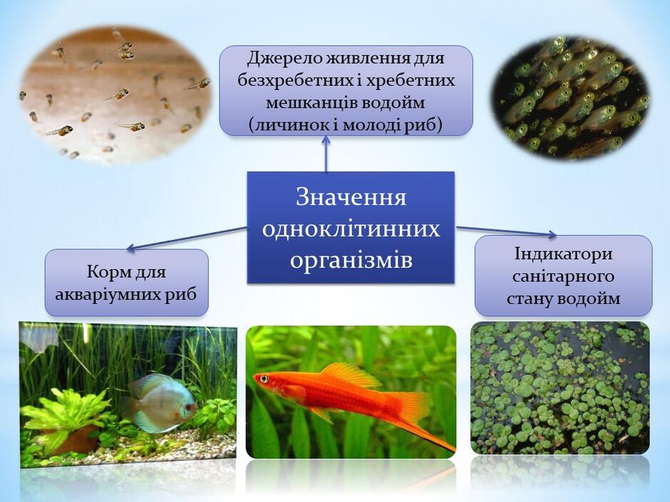 0400h0sl-aac2-940x705.jpg