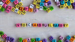 Vocabulary + haven't got / hasn't got