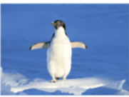 0400h2sk-6f01-181x136.png