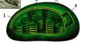 0400h3qi-b549-300x147.png