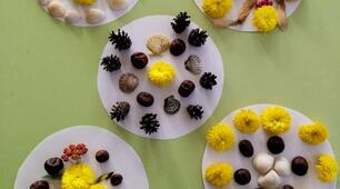 Данмала - різновид мандали, що виготовляється з природних матеріалів