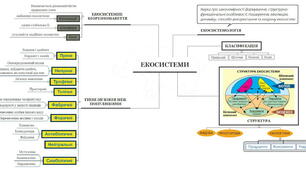Ментальна карта до уроку "Екосистемологія"