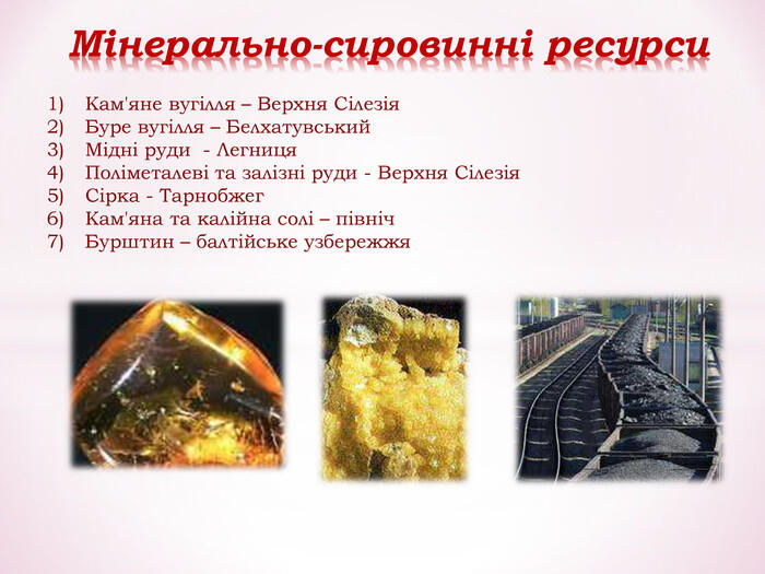 Кам'яне вугілля – Верхня Сілезія Буре вугілля – Белхатувський Мідні руди - Легниця Поліметалеві та залізні руди - Верхня Сілезія Сірка - Тарнобжег Кам'яна та калійна солі – північ Бурштин – балтійське узбережжя