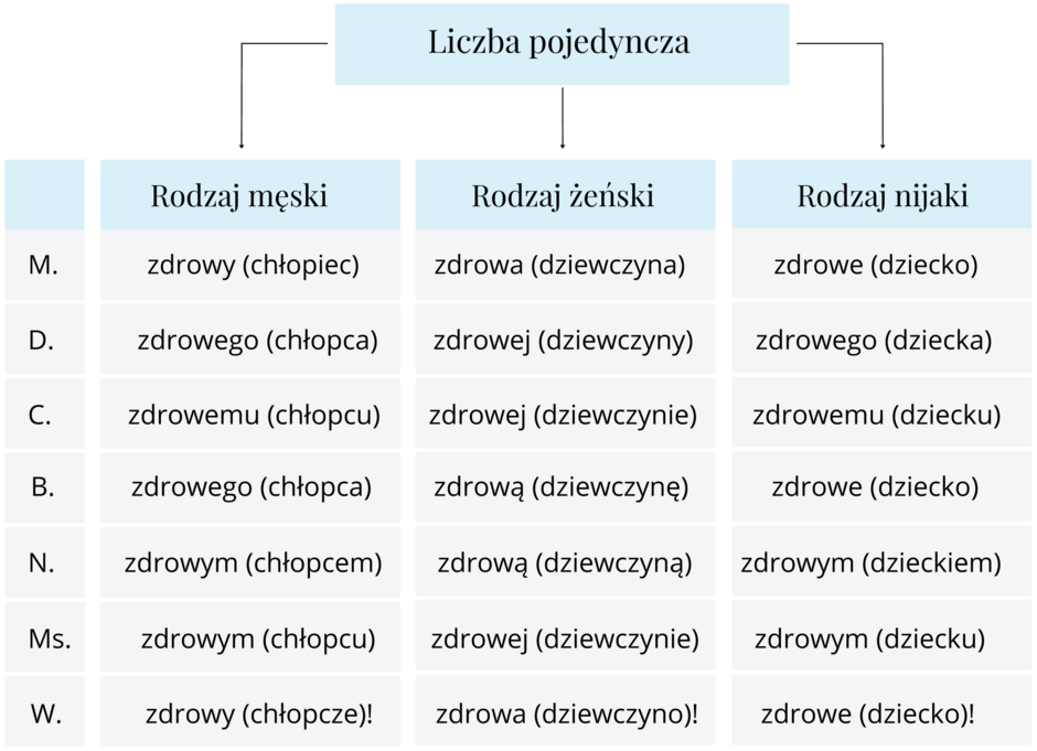 Schemat obrazujący odmianę przymiotnika i rzeczownika w liczbie pojedynczej. W górnej części schematu występuje napis: „Liczba pojedyncza”. Od niego odchodzą trzy strzałki, pod którymi umieszczone są kolejno napisy: „rodzaj męski”, „rodzaj żeński”, „rodzaj nijaki”. Po lewej stronie umieszczona jest również kolumna ze skrótami określającymi poszczególne przypadki: M., D., C., B., N., Ms., W. Schemat dzieli się na siedem wersów, czyli tyle, ile jest przypadków. Liczba pojedyncza. Rodzaj męski. M. zdrowy (chłopiec) D. zdrowego (chłopca) C. zdrowemu (chłopcu), B. zdrowego (chłopca) N. zdrowym (chłopcu) Ms. zdrowym (chłopcu) W. zdrowy (chłopcze)! Rodzaj żeński. M. zdrowa (dziewczyna) D. zdrowej (dziewczyny) C. zdrowej (dziewczynie), B. zdrową (dziewczynę) N. zdrową (dziewczyną) Ms. zdrowej (dziewczynie) W. zdrowa (dziewczyno)! Rodzaj nijaki M. zdrowe (dziecko) D. zdrowego (dziecka) C. zdrowemu dziecku B. zdrowe (dziecko) zdrowym (dzieckiem) Ms. zdrowym (dziecku) W. zdrowe (dziecko)!
