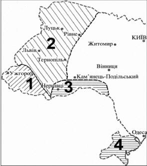 0400hiyh-0122-295x332.jpg